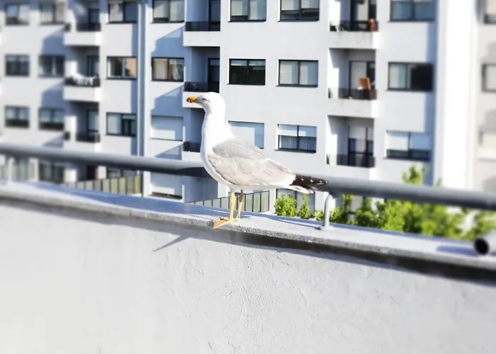 River & Ocean Ubytování v soukromí *